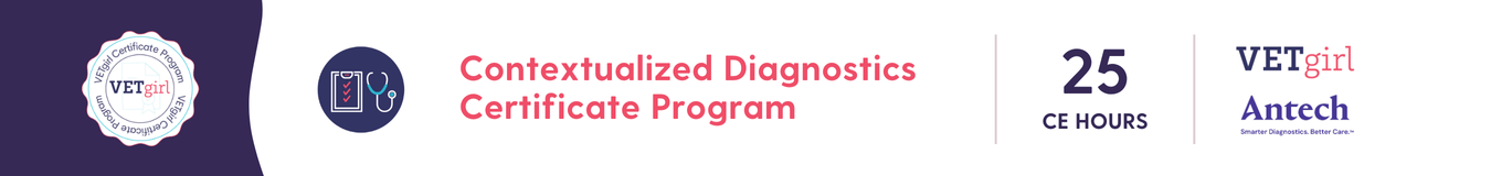 Contextualized Diagnostics Certificate Program - Banner Ad-2